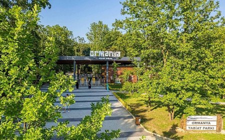 Ormanya’da yaz hazırlıkları tamam