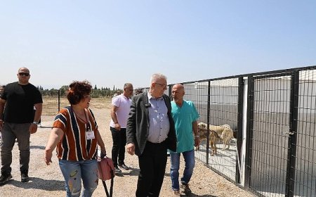 Edremit Belediyesi can dostlara sahip çıkıyor