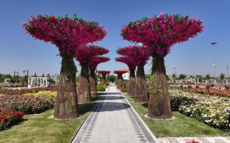 Konya’da Karatay Mevlana Gül Parkı kapılarını açtı