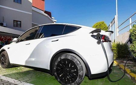 Elektrikli araç şarj istasyonları ile 1400 ağaca bedel temiz enerji