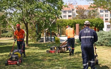 Çankaya Parklarında Çimler Biçiliyor, Otlar Temizleniyor