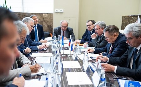 Rusya, IAEA ile Zaporozhskaya NGS’nin Nükleer Güvenliği ve Emniyeti Konularını Görüştü