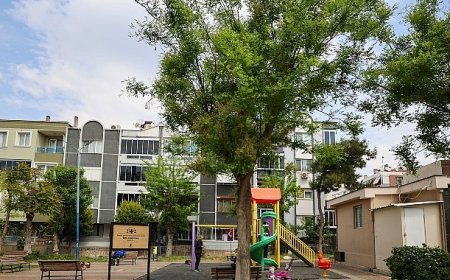 Buca Belediyesi kadına şiddete karşı mücadele veren avukatlara destek verdi