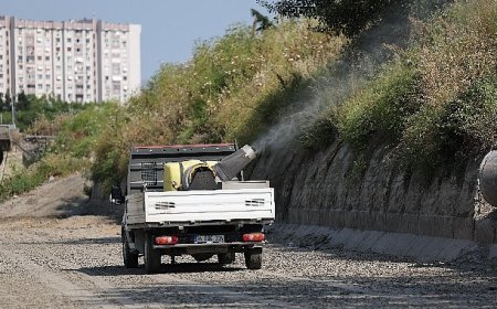 Bakırköy Belediyesi ve İBB işbirliğiyle vektörle mücadele