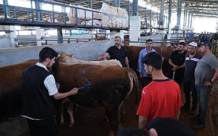 İnegöl Modern Hayvan Pazarı Beşinci Kez Bayram Sevinci Yaşattı