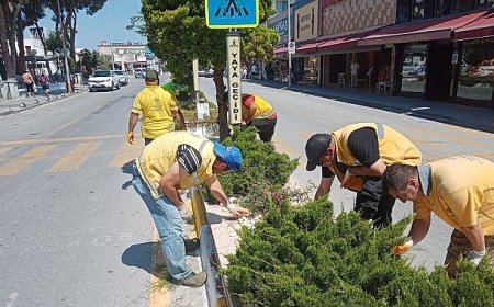 Başkan Çerçioğlu’nun Hizmetleri Kuşadası’nı Doğanın Yeşil Tonları ile Buluşturuyor
