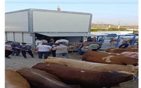 Büyükşehir’den bayramda güvenli ve hijyenik kesim hizmeti