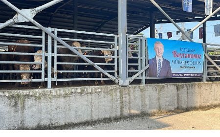 Büyükşehir’in modern mezbahasında kurbanlar kesiliyor