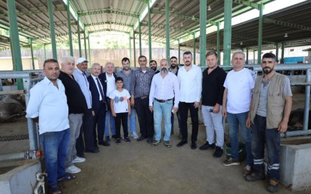 İzmit’teki hayvan pazarı bu yıl da ilgi gördü