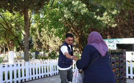 Kartepe Belediyesi’nden Mezarlıklarda Çiçek Dağıtımı