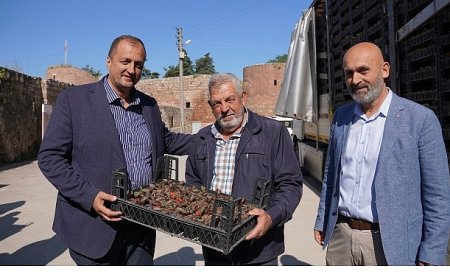 Bayram Öncesi İznik’te Mezarlıklar Çiçek Açıyor