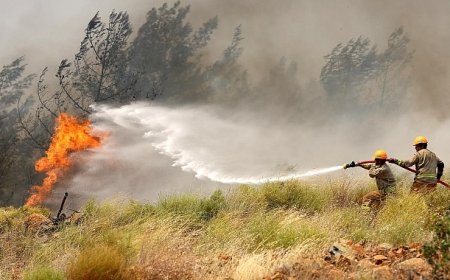 OGM’den Kurban Bayramı Öncesi Yangın Uyarısı