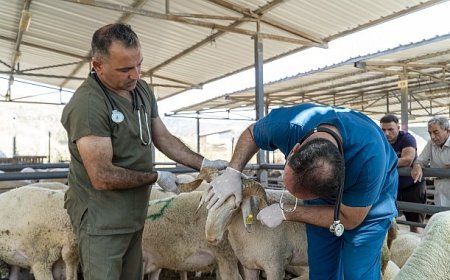 Karşıyaka, Kurban Bayramı’na hazır!