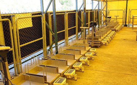 İBB bayram hazırlıklarını tamamladı