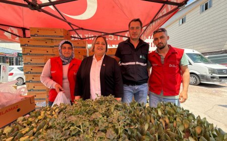 İzmit’ten vatandaşa ücretsiz fide desteği