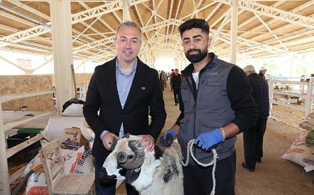 Yeni Kurban Pazarı Alıcının da Satıcının da Yüzünü Güldürdü…