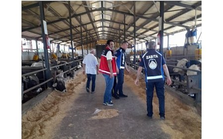 Kartepe’de Kurban Kesim Yerleri Denetleniyor