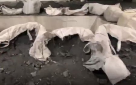 Ticaret’ten rekor uyuşturucu operasyonu! Kömüre emdirilmiş tonlarca uyuşturucu!