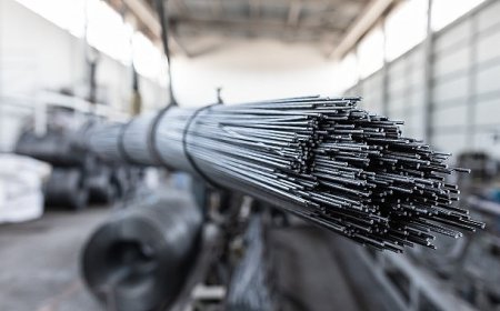 Ege İhracatçı Birlikleri’nden mayıs ayında 1 milyar 643 milyon dolarlık ihracat