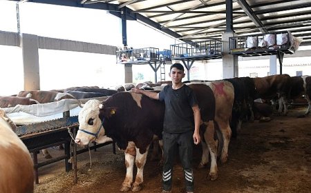 Başkan Aydın kurban pazarını ziyaret etti