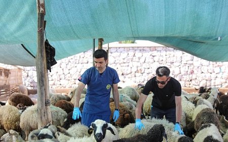 Buca’da Kurban Bayramı öncesi sıkı denetim