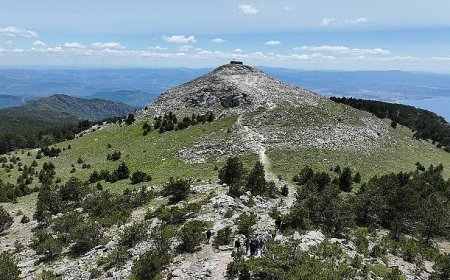 Kazdağları’nda Dünya Çevre Günü’nde Anlamlı Etkinlik