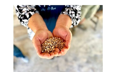 Köylünün toprağına, Urla’nın börülcesine sahip çıkıyoruz