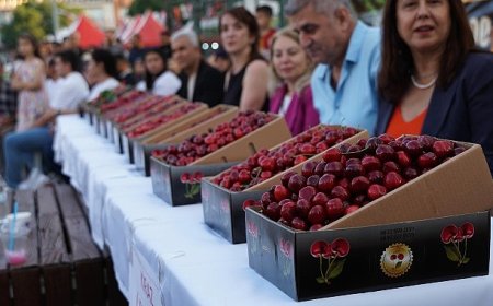 52’nci Altın Kiraz Kültür ve Sanat Festivali Coşkuyla Kutlandı