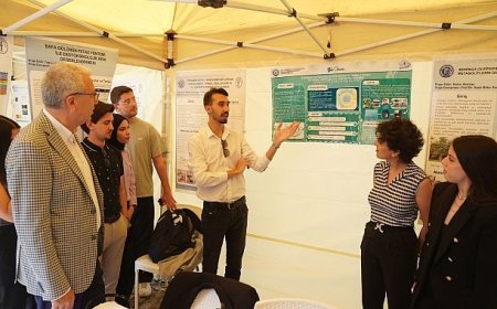 Ege Üniversitesinden çevre dostu yenilik: Artık enginar sapları çevreyi temizleyecek