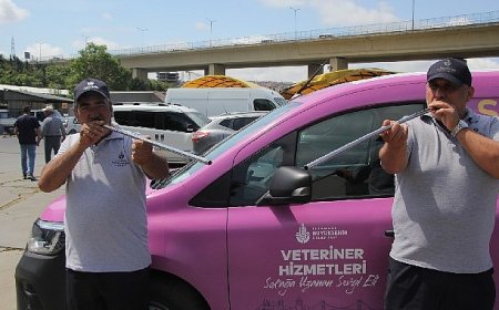 İBB boğa timi görev başında