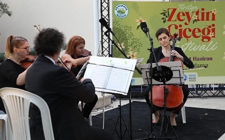 Tirilye’de zeytinin çiçeği açtı, festival sokakları sardı