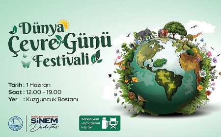 Üsküdar’da Dünya Çevre Günü Festivali Düzenlenecek