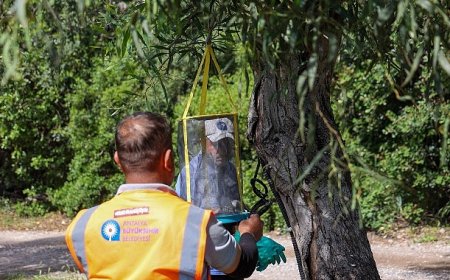 Sarısu Kadınlar Plajı 1 Haziran’da açılıyor