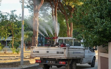 Gaziemir’de sivrisineklere karşı ilaçlama çalışmaları hız kazandı