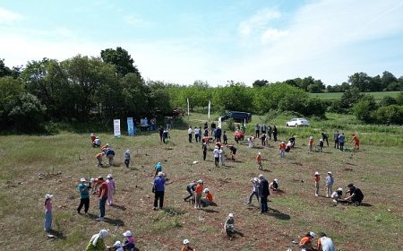İnegöl’de Çevre Haftasında 150 Fidan Toprakla Buluştu
