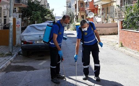 Buca’da Haşere ve Zararlılara Karşı İlaçlama Seferberliği