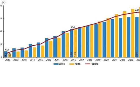 Ulusal Eğitim İstatistikleri, 2024