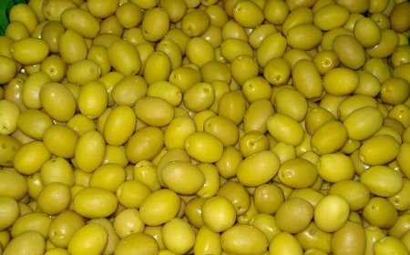 Sofralık zeytin ihracatı 250 milyon dolara koşuyor