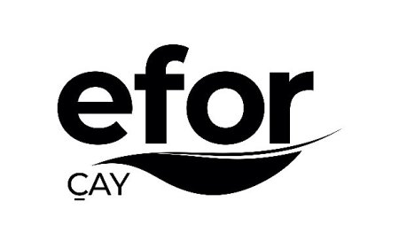 Yatırımcı Güveniyle Yükselen Marka: Efor Çay Gücünü Tescilledi