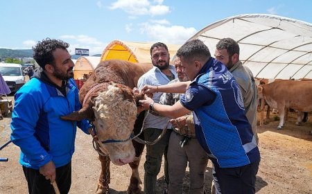 Gaziemir’de kurban satış yerlerinde sıkı denetim