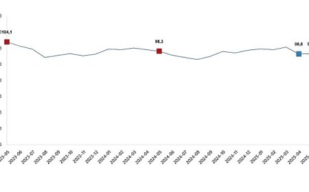 Ekonomik güven endeksi 96,7 oldu