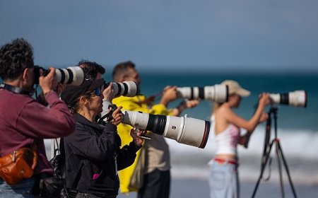 Sony Kando Trip 2025 ile Yaratıcılığı ve İlhamı Portekiz’de Buluşturdu