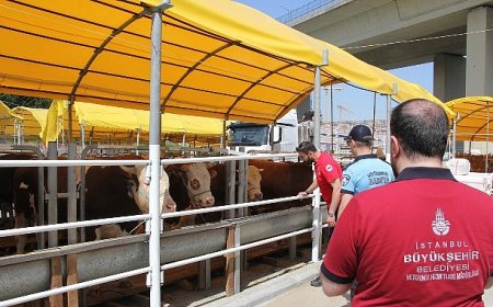 İstanbul’da Kurbanlık Denetimleri Başladı