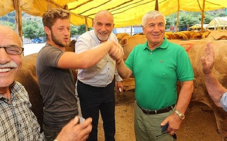 Canik’te Kurbanlıklar Görücüye Çıktı