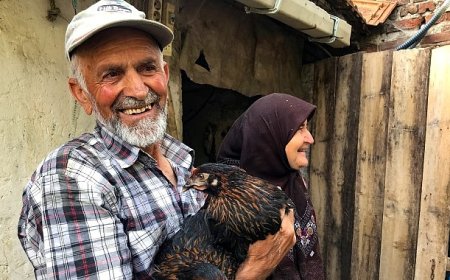 Üreticiye yüzde 50 hibeli yumurta tavuğu desteği
