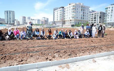 Kent Kadın Bostanları projesi Mardin Artuklu’da hayata geçti