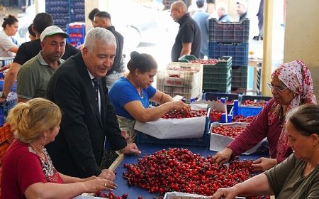 Başkan Türkmen Sahada