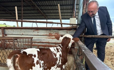 Selendili Üreticilere “Tek Dam Projesi” Anlatıldı