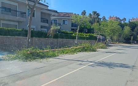 Güzelbahçe Belediyesi’nden Yaz Temizliği