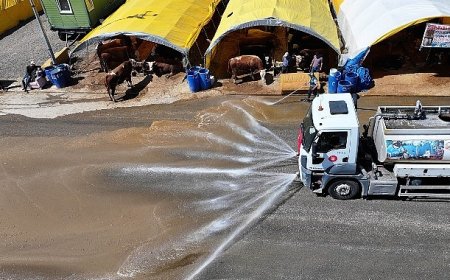 Temiz ve güvenli kurban pazarı Keçiören’de
